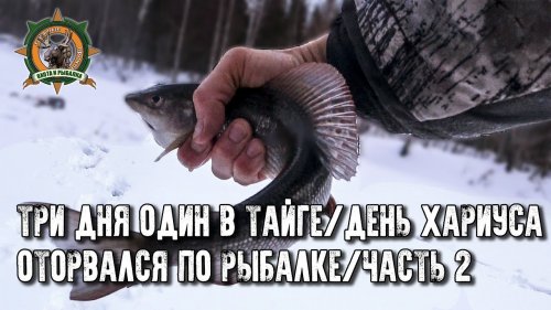 Три дня один в тайге/День рыбалки/Наловил крупняка!/Часть 2