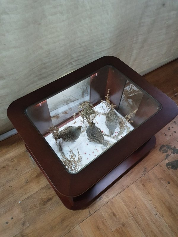 Журнальный столик с чудесной композицией куропаток внутри.