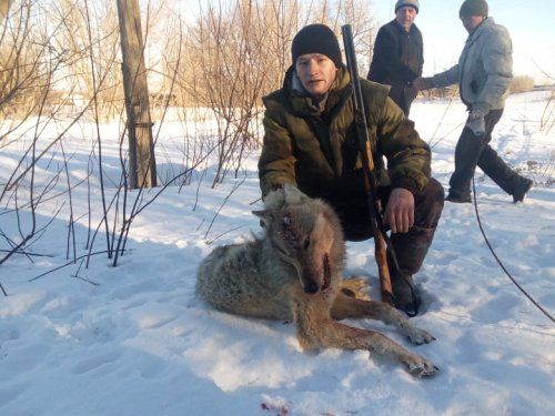 Серая високосность...