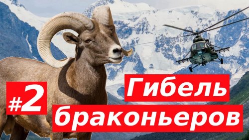 Гибель московских чиновников браконьеров на Алтае. Продолжение