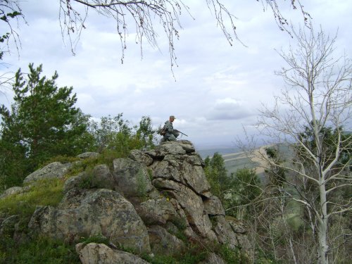 Предгорья Алтая.