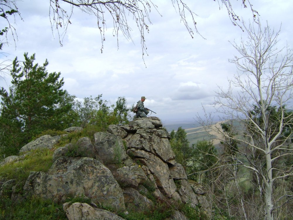 Предгорья Алтая.
