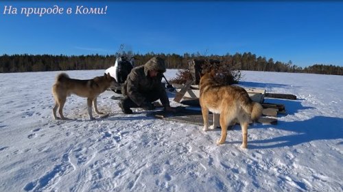 Поход - Шалаш /Ремонт шалаша к весенней охоте/ 1/2 серия.
