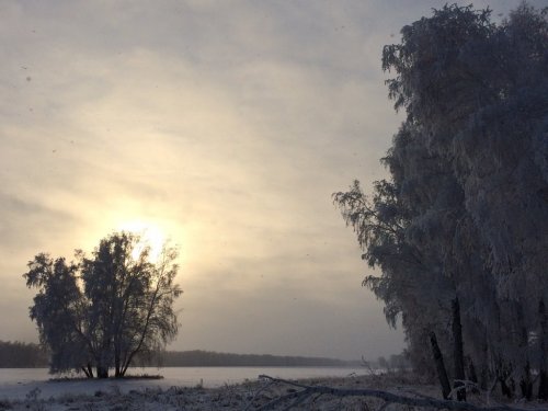 Красота )