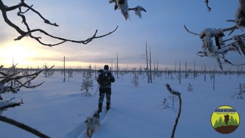 Дикая Россия/Охота в минус 30°/Таёжный быт в зимовье