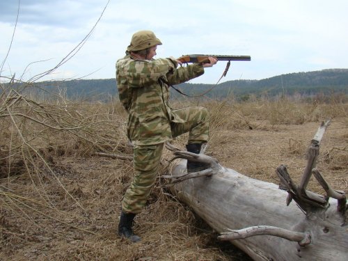 Красавица моя!