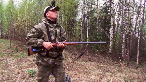 Весенняя охота на вальдшнепа