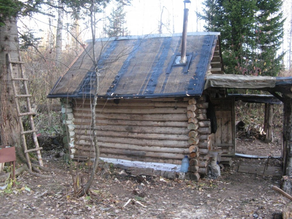 моя изба