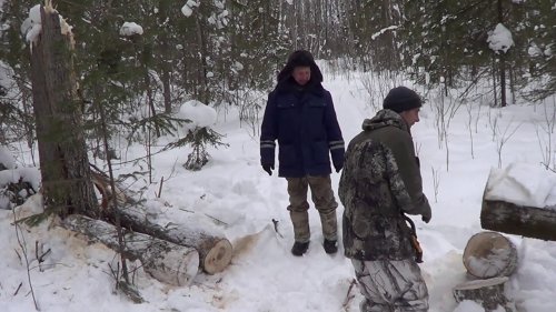 На снегоходе Вектор 551 на таежную избу едем с Кузьмичом