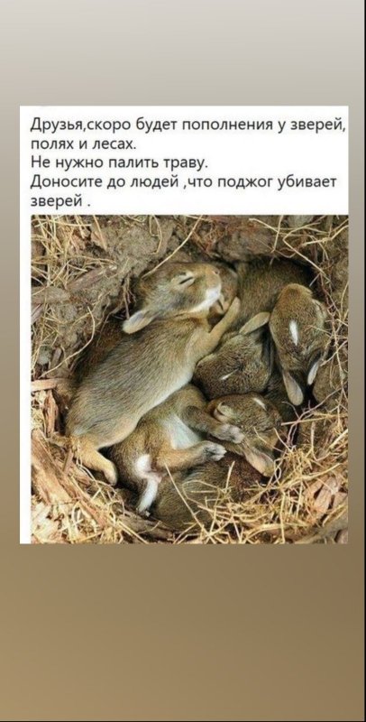 Природа