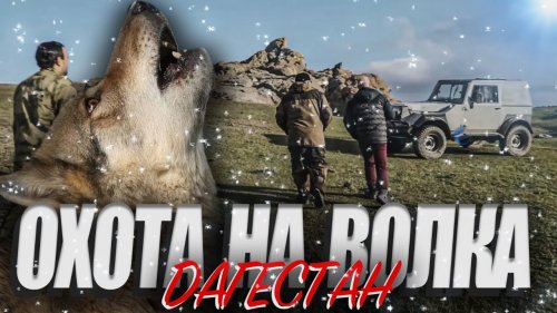 Охота на волка в Дагестане. Выстрел на 240 метров. Попадание в кадре.