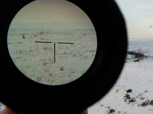 Видет око да зуб неймёт