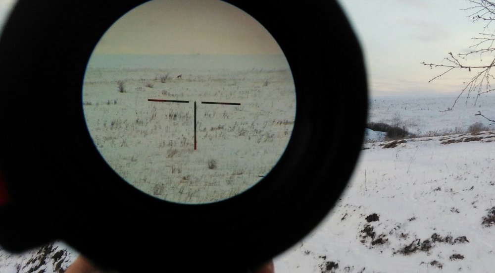 Видет око да зуб неймёт