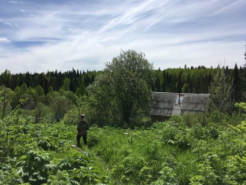 Пасека