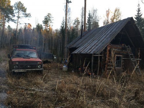 В лесах Красноярского края