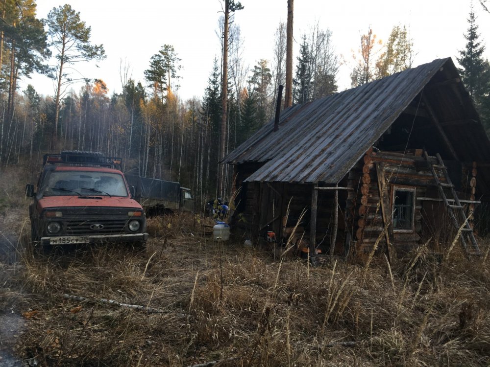 В лесах Красноярского края