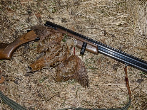 Восьмой.