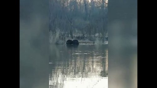 Борьба с короновирусом