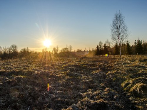 Вальдшнепинная полянка.