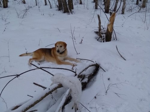 Закрытие сезона 29.02.2020