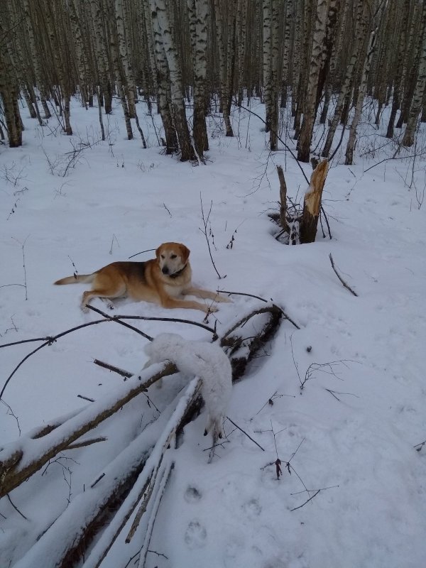 Закрытие сезона 29.02.2020
