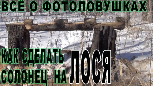 Как сделать правильно солонец на лося