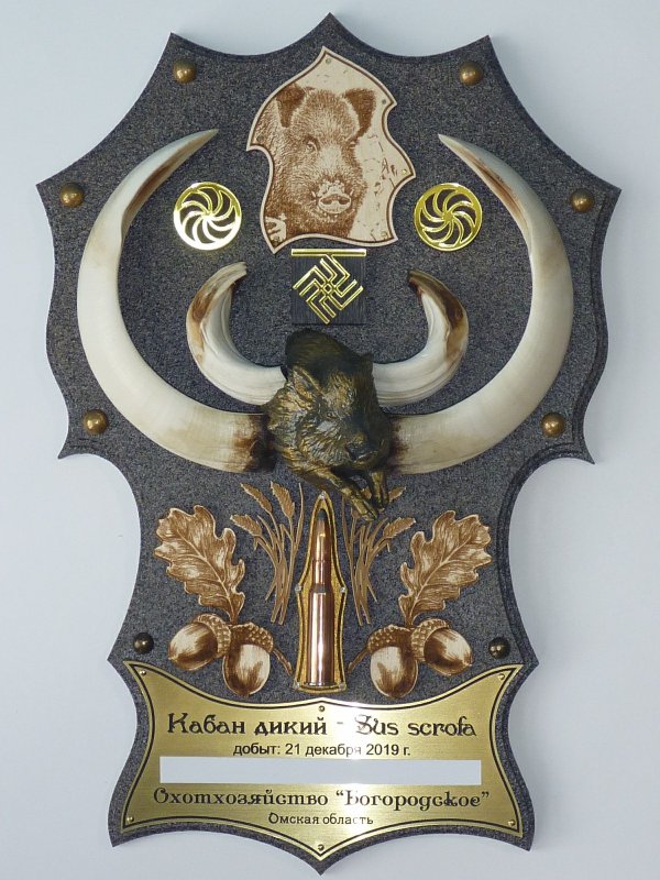 Зубы