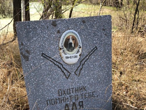 Охотник помнит о тебе, Аля