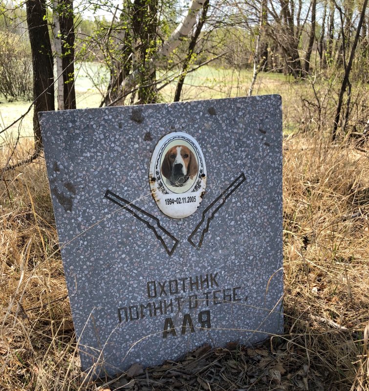 Охотник помнит о тебе, Аля