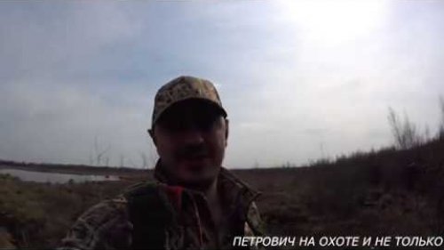 ОХОТА НА ГУСЯ 2020. РАЗВЕДКА , МНОГО ГУСЯ , СТРОИМ СКРАДКИ .