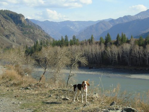 красотка позирует