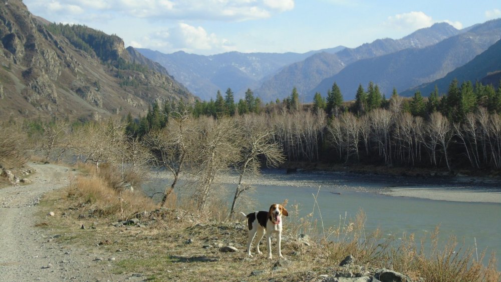 красотка позирует