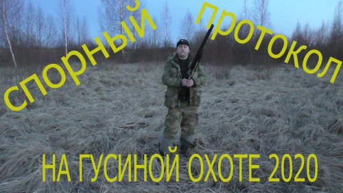 Абсурдный протокол на весенней охоте на гуся 2020.