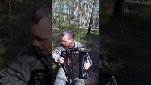 Кавер на "Демобилизация"  Сектор Газа