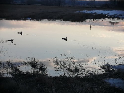 На зорьке