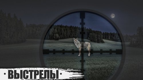 Выстрелы по волкам и шакалам.