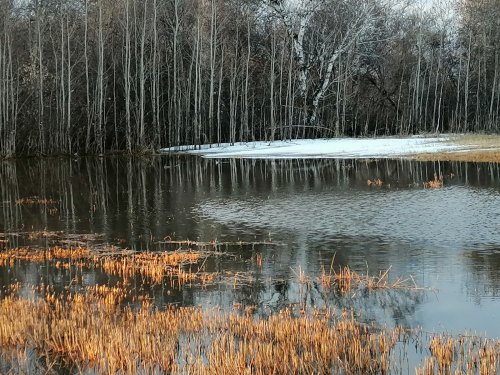 На зорьке