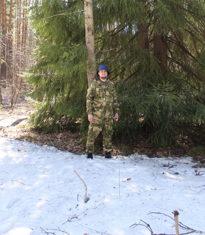 Лесная прогулка