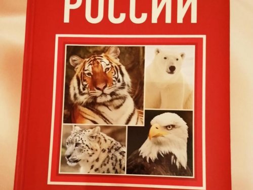 Составлен новый список животных и птиц, на которых теперь запрещена охота