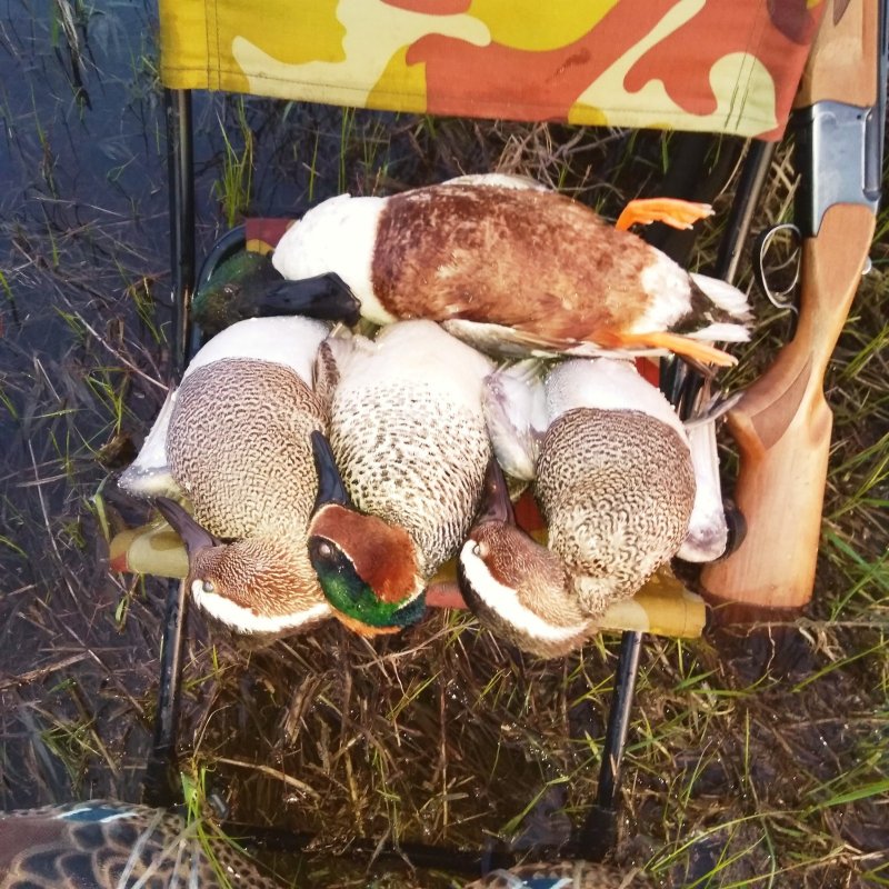 Еще одно удачное утро