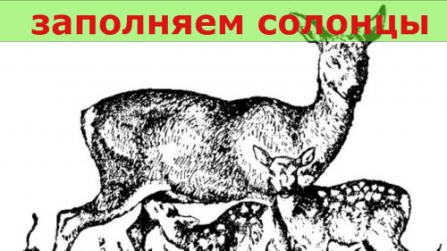 Солонец для косули 2020