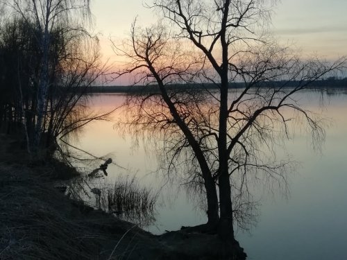 Неказистый отчет