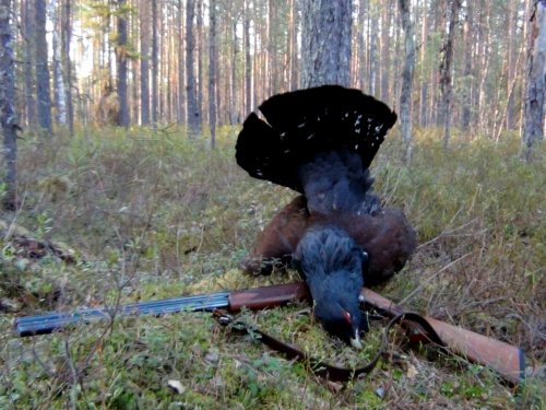 Для Юголь