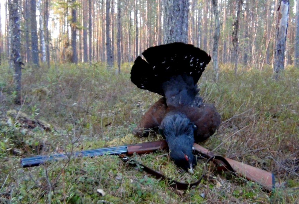 Для Юголь