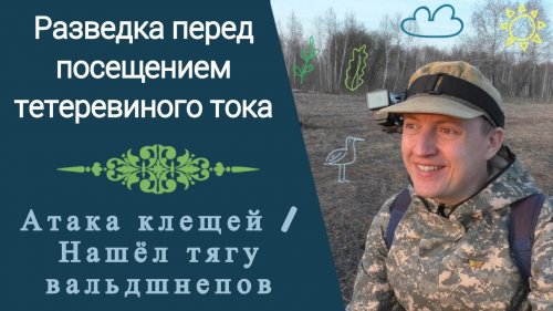 Разведка перед посещением тетеревиного тока / Атака клещей / Нашёл тягу вальдшнепов