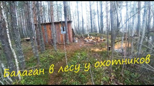Охота на уток. Поход по лесу до моста через р Лымва. 3/3 серия