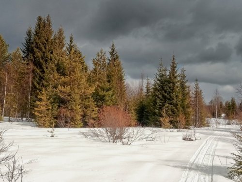 апрель
