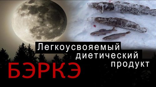 На кордоне. Охрана ресурсного резервата.