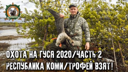 Охота на гуся 2020 в Республике Коми/Часть 2/Первые трофеи