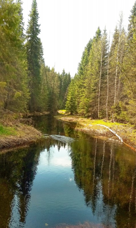 майский день